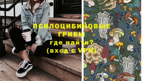 ГАЛЛЮЦИНОГЕННЫЕ ГРИБЫ Верхний Тагил
