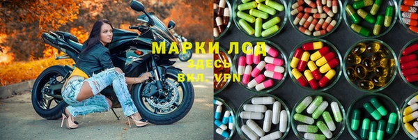 ГАЛЛЮЦИНОГЕННЫЕ ГРИБЫ Верхний Тагил