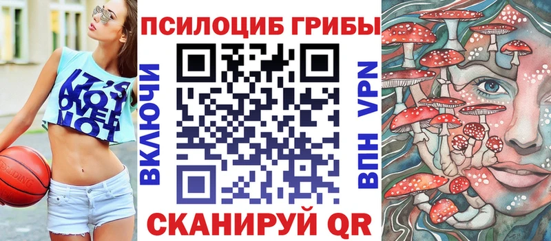 Галлюциногенные грибы мухоморы кракен рабочий сайт Благодарный